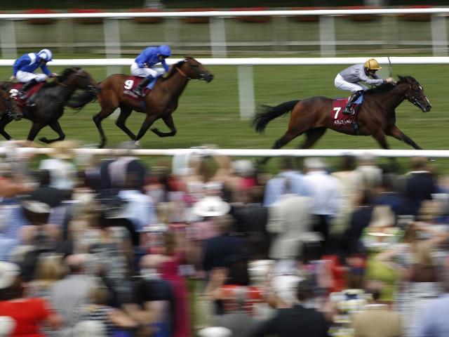Newmarket is one of five afternoon meetings for the market movers team